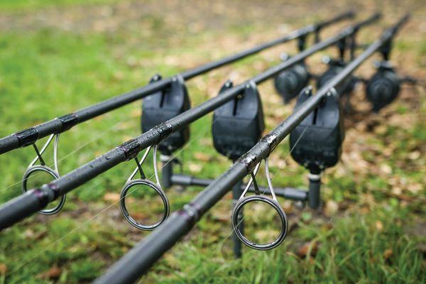 Carp Rods
