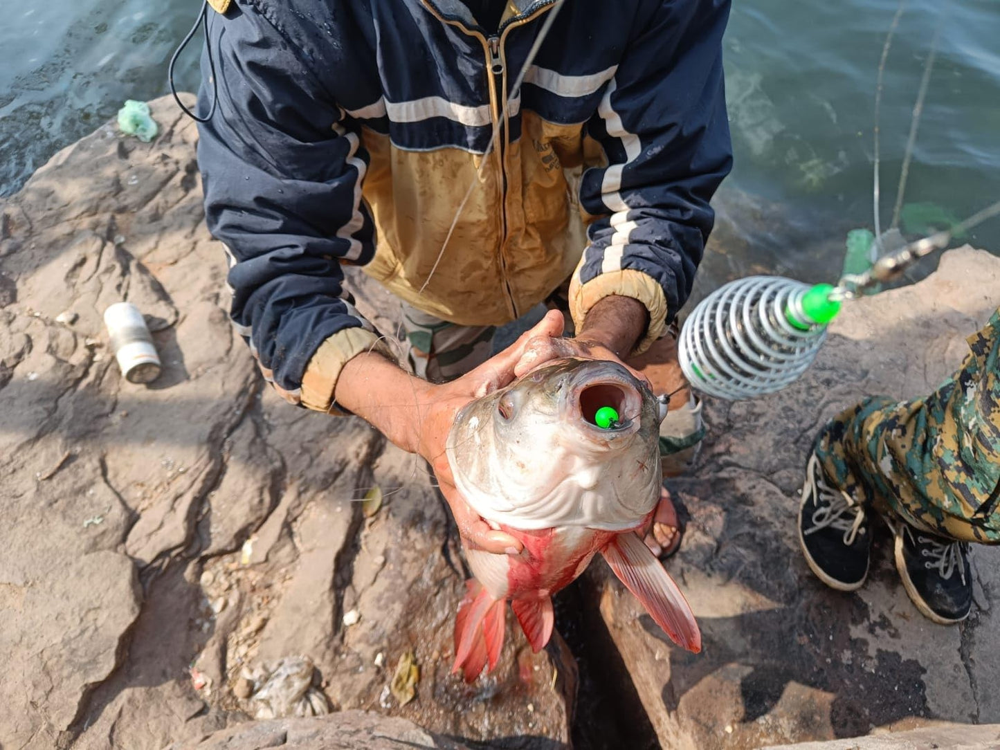 Fishmen Fishing Feeder for Carp Fishing Including popup Rig Made with Mustad XV-2 Carp Hook