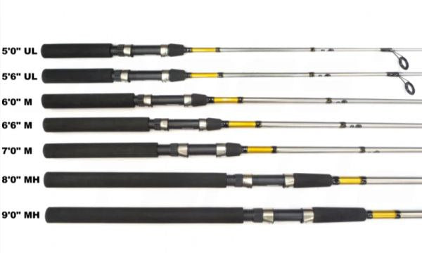 SHIMANO - FX - MULTISPECIES - SPINNING RODS