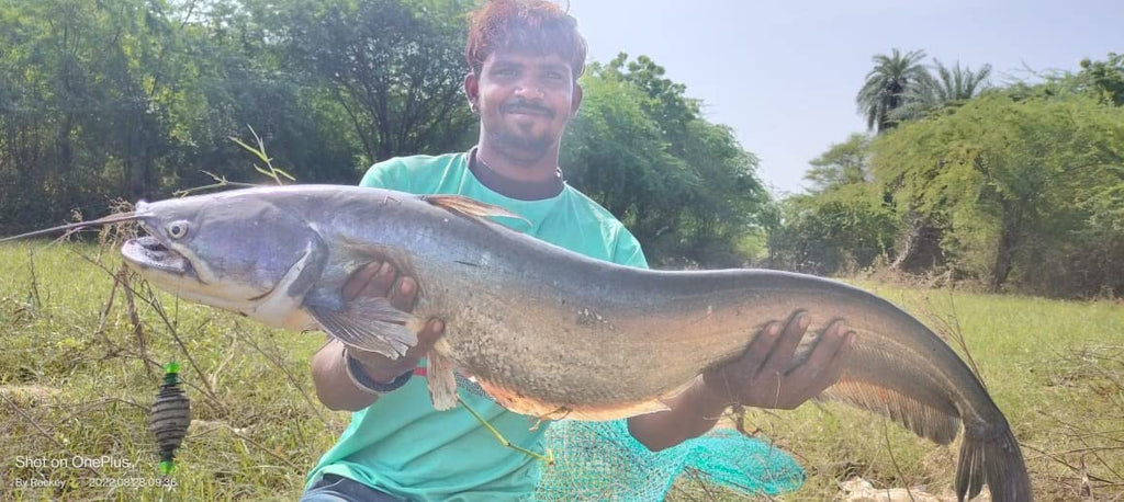 Fishmen Carp Feeder with Blow Back rig (Pack of 4) Made with Mustad Hook and Crimson Titanium 9X Power core 54lb Braided line