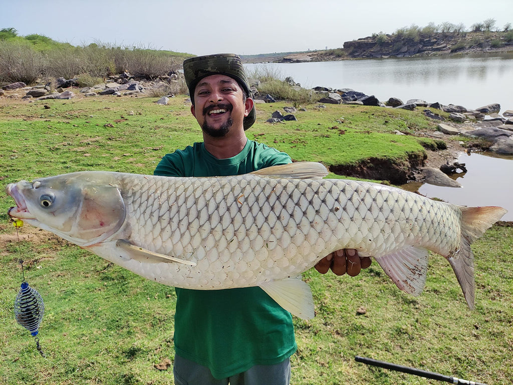 Fishing Carp Feeder with popup Blow Back rig Made with Mustad