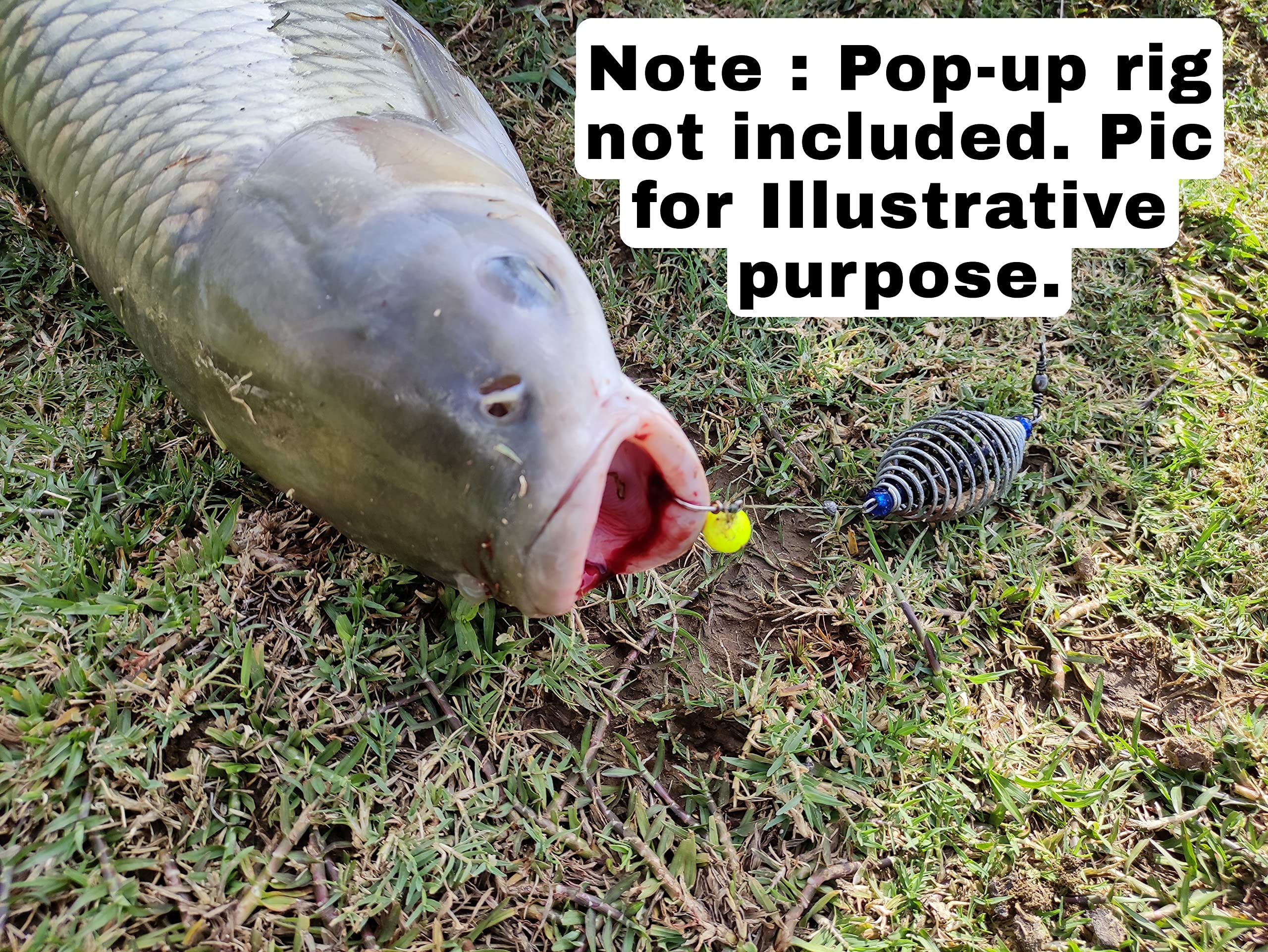 Fishmen Carp Feeder Pack of 4 - Blue Alloy Steel Irregular Shape - Ideal for Carp Fishing